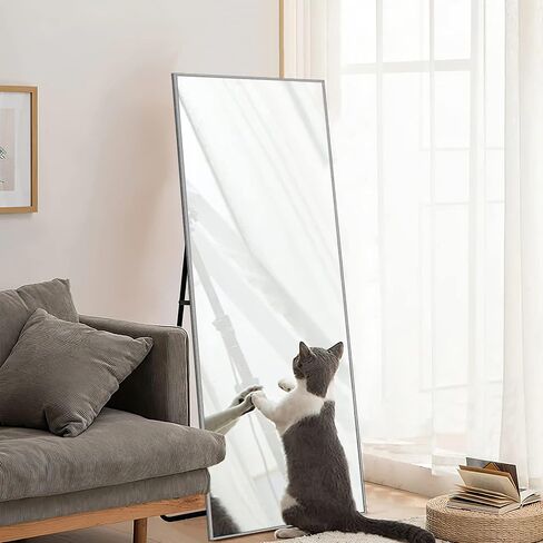 NeuType 71"x24" Big Mirror Full Length Floor Mirror Bathroom Mirrors for Wall Sand Gray Mirror Full Length Mirror Full Body Mirrors for Bedroom Rectangle Mirror in Saudi Arabia