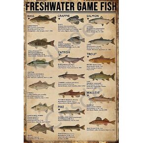Cusde Freshwater Game Fish Tin Sign Vintage Retro Decor Signs Wall Decorations Wall Art Poster Plaques for Home Farm Store Garage Club Bar Kitchen Pub Funny Gift 8x12 Inch