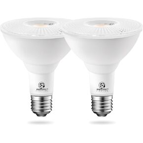 Energetic 10 Pack PAR30 LED Bulbs, Flood Light Outdoor Indoor 75 Watt Equivalent 10W Dimmable,5000K Daylight,1000 Lumens,E26 Base,IP65 Waterproof LED Recessed Light Bulbs for Security