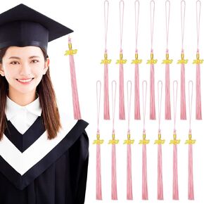 Shappy 14 Pieces 2024 Year Charm Graduation Tassel Academic Graduation Hat Tassel with Decoration for Graduates Ceremonies Parties Accessories(Gold)