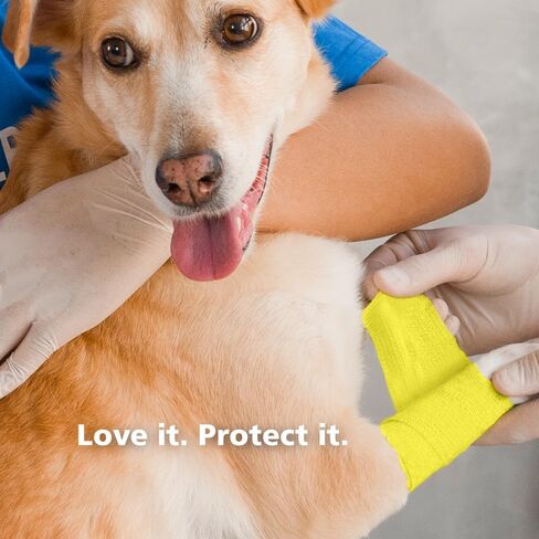 FriCARE Latex Free Self Adhesive Bandage, Green Athletic Wrist Spat Tape, First Aid Supplies Medical Tape Self-Adherent Cohesive Bandages, Non-Woven Elastic Vet Wrap Fluorescent 6 Rolls 2" x 5 Yards in Kuwait