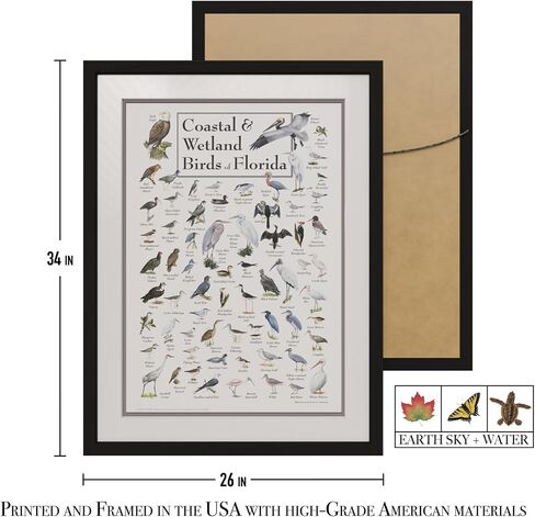 Earth Sky + Water - Coastal & Wetland Birds of Florida - Poster in Saudi Arabia