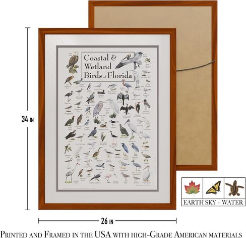 Earth Sky + Water - Coastal & Wetland Birds of Florida - Poster in Saudi Arabia