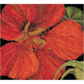Thea Gouverneur - Counted Cross Stitch Kit - East Indian Cherry - Aida - 18 Count - for Adults - 492A