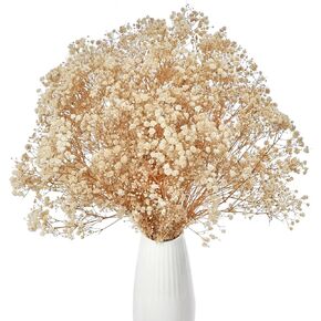 Gipizi Dried Baby's Breath Flowers Bouquet, 17 inch Natural White Dried Flowers Babys Breath Bulk 2500+, Real Gypsophila Branches for Wedding, Party, Table Vase, DIY Wreath Floral, Home Decor