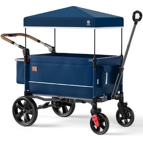 EVER ADVANCED Side-Unzip Wagon Stroller for 2 Kids, Push Pull Stroller with Adjustable Handle-Bar, Easy Access Front Zipper Door, 5-Point Harness Removable UV-Protection Canopy Shock-Absorbing Wheels