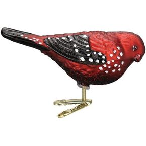 Old World ( 18134) Strawberry Finch Clip-on Ornament, 3.5 inch , Red