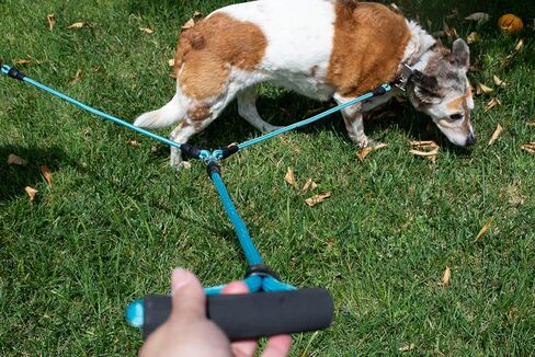 حزام مقعد السيارة للكلاب من Paws First Dog، لحماية الحيوانات الأليفة، ملحقات سفر للكلاب، نايلون مسامي، مقاس X-Large in Kuwait