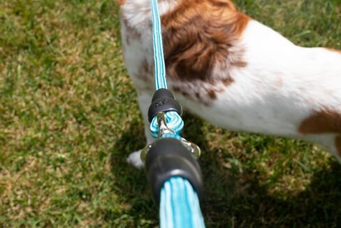 حزام مقعد السيارة للكلاب من Paws First Dog، لحماية الحيوانات الأليفة، ملحقات سفر للكلاب، نايلون مسامي، مقاس X-Large in Kuwait