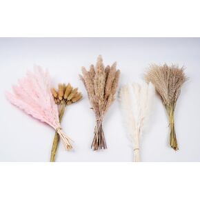 Dried Pampas Grass Decor 90 pcs 17 inch Natural Dried Pompas grass-15Pcs Brown Pampas&15Pcs Pink Pampas&30Pcs Reed Grass&30Pcs Bunny Tail Grass for Wedding Boho Home Decor(90PC)