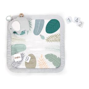 Ingenuity Cozy Prop 4-in-1 Sit Up & Prop Activity Mat, for Age Newborn & Up, Unisex, Toys - Nate The Bear