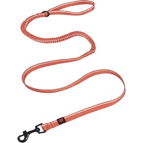 Good Scout Heavy Duty Bungee Leash, Walking & Training Leash for Puppies & Adult Dogs, Brick, Small