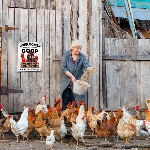 ديكور حظيرة مضحكة معلقة لافتة خشبية لتزيين الحائط مرحبًا بكم في حظيرتنا، نحن جميعًا Cluckin Crazy Country ريفي مزرعة حديقة المرآب ديكور الحائط 10 بوصة × 8 بوصة (J708) in Kuwait