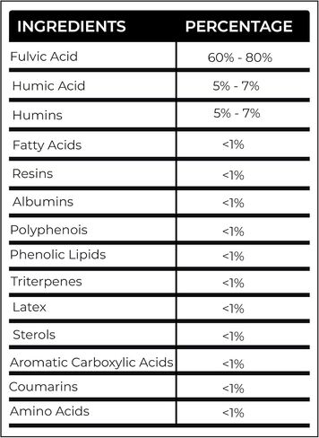 Pure Himalayan Organic Shilajit Resin - Enhanced Support Shilajit Supplement for Men and Women, Authentic Shilajit Extract in Saudi Arabia