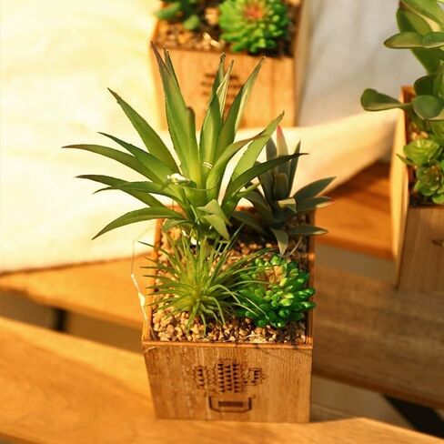 نباتات SAROSORA الاصطناعية بطول 55.88 سم للحديقة الداخلية والخضراء وديكور سطح الطاولة والعشب الاصطناعي | نباتات فوك (1، 22 بوصة) in Kuwait