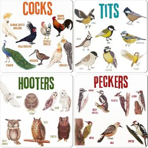 Set of 6 Bird Pun Coasters, Bird Pun Coasters for Drinks, Square Coaster Set for Cups Home Funny Coasters Set for Bird Lover Friends Bar Housewarming Gift Coffee