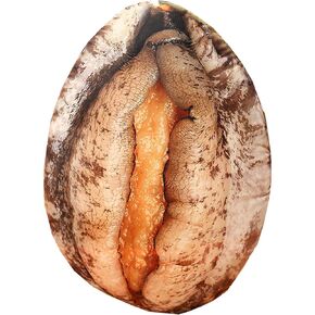 Simulation Sea-Shell Plush Pillow, Shell Stuffed Throw Pillow, Home Sofa Beach Decoration, Birthday Christmas Funny Gift for Kids Adults