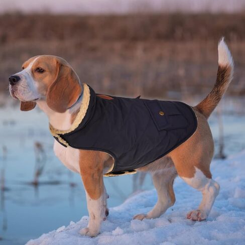Queenmore Warm Puffer Dog Jacket Thick Plush Lining Winter Small Dog Coat in Kuwait