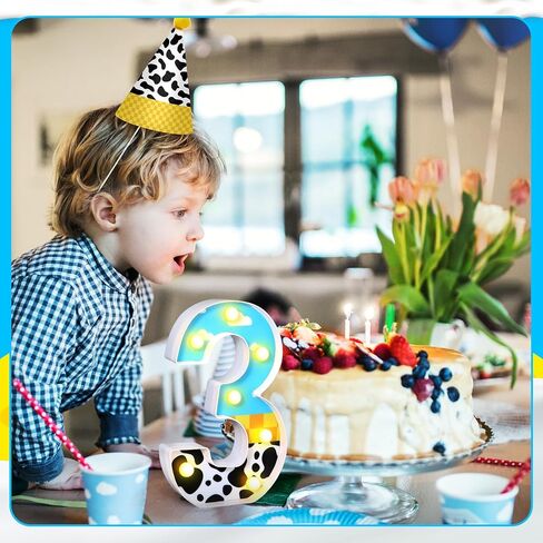 Toy Inspired Birthday Party Supplies LED Light up Number Cartoon Party Decoration Cow Print Blue Sky White Cloud Marquee Glowing Number Sign for Kids 2nd Birthday Party (Number 2) in Kuwait