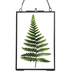 Glass frame for pressed flowers Handmade, Hanging Photo Frame, Double Glass Floating Picture Frames Brass Clear Frame for Dried flowers Plants Artwork, Rectangle, Gold, 4x6 (FRAME ONLY)
