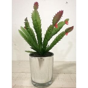 Artificial Potted Succulent Cactus 7.5" Home & Tabletop Decoration (Golden Pot) in Saudi Arabia