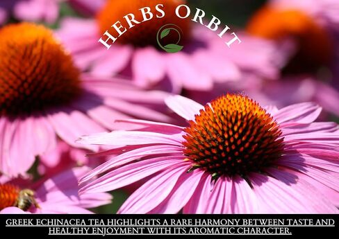 Echinacea Tea Organic Loose Leaf Echinacea Flowers Dried Organic Boosting Herbal Infusion for Kids and Adults Greek Herbs 3 oz in Saudi Arabia