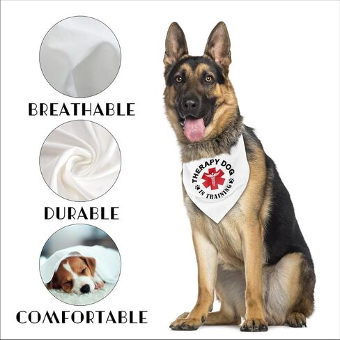 باندانا الكلب، باندانا علاجية للكلاب في تدريب الكلاب، وشاح للكلاب طباعة منقوشة كلاسيكية، إكسسوارات وشاح للكلاب، وشاح باندانا للحيوانات الأليفة، وشاح للحيوانات الأليفة، ملحقات وشاح للحيوانات الأليفة، هدية باندانا للكلاب (J11) in Kuwait