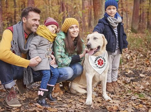 باندانا الكلب، باندانا علاجية للكلاب في تدريب الكلاب، وشاح للكلاب طباعة منقوشة كلاسيكية، إكسسوارات وشاح للكلاب، وشاح باندانا للحيوانات الأليفة، وشاح للحيوانات الأليفة، ملحقات وشاح للحيوانات الأليفة، هدية باندانا للكلاب (J11) in Kuwait