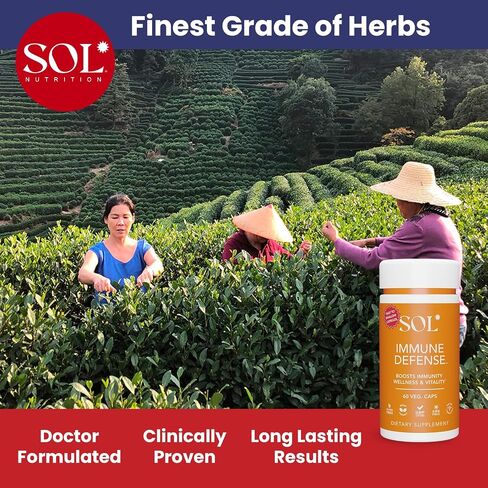 Immune Defense Supplement: Clears Allergens, Builds Strong Immune System, 15X More Powerful, Astragalus, Goto Kola, Andrographis, 60 Easy-to-Swallow Capsules, SOL Nutrition in Saudi Arabia
