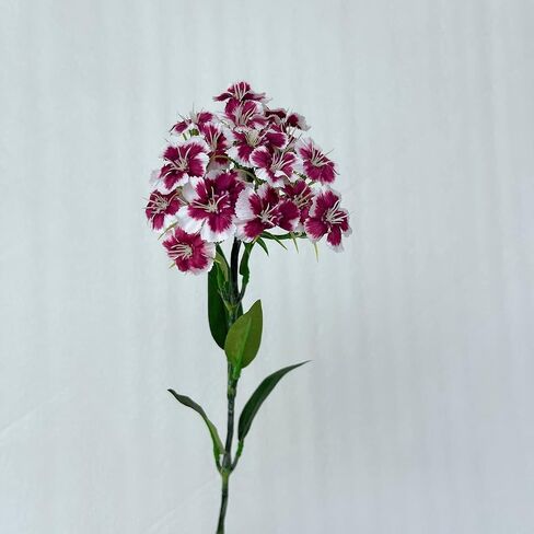 5PCS Artificial Dianthus Blooms with Stem Silk Flowers for Arrangement Wedding Centerpiece Party Home Kitchen Decor (White) in Kuwait