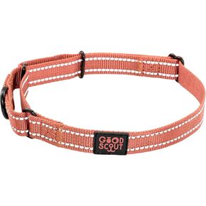 Good Scout Martingale Heavy Duty Dog Collar, Durable Slip-On Collar for Puppies & Adult Dogs, Brick, Medium