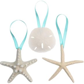 Shell Ornaments | Christmas Ornaments for Tree | Hanging Real Knobby Starfish, Real Finger Starfish, & Sand Dollar w/Turquoise Ribbon | 3 Pack | Plus Free Nautical eBook by Joseph Rains