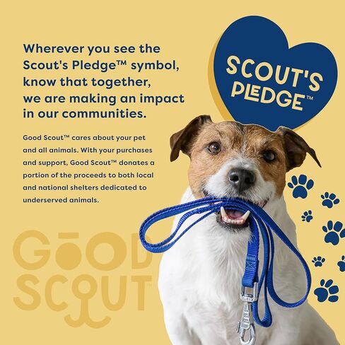 طوق جيد التحمل للكلاب من Good Scout Martingale، طوق متين سهل الارتداء للجراء والكلاب البالغة، من الطوب، مقاس متوسط in Kuwait