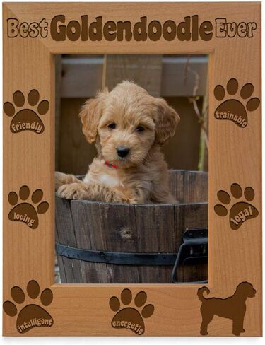 إطار صورة KATE POSH Goldendoodle، أفضل Goldendoodle على الإطلاق، هدية جرو جديدة، هدية لمحبي الكلاب، كلب تذكاري، إطار صور من الخشب الطبيعي محفور (5 × 7 رأسيًا) in Saudi Arabia