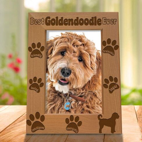 إطار صورة KATE POSH Goldendoodle، أفضل Goldendoodle على الإطلاق، هدية جرو جديدة، هدية لمحبي الكلاب، كلب تذكاري، إطار صور من الخشب الطبيعي محفور (5 × 7 رأسيًا) in Saudi Arabia