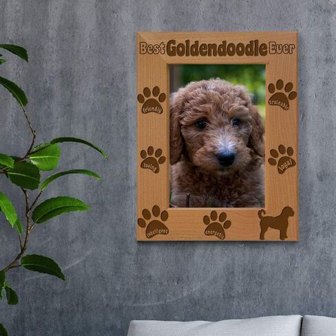 إطار صورة KATE POSH Goldendoodle، أفضل Goldendoodle على الإطلاق، هدية جرو جديدة، هدية لمحبي الكلاب، كلب تذكاري، إطار صور من الخشب الطبيعي محفور (5 × 7 رأسيًا) in Saudi Arabia