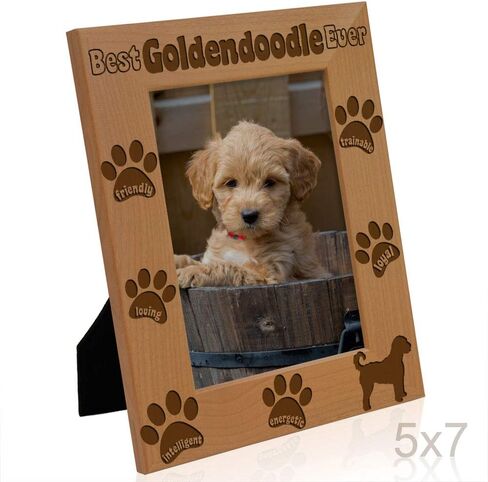 إطار صورة KATE POSH Goldendoodle، أفضل Goldendoodle على الإطلاق، هدية جرو جديدة، هدية لمحبي الكلاب، كلب تذكاري، إطار صور من الخشب الطبيعي محفور (5 × 7 رأسيًا) in Saudi Arabia