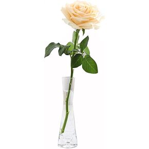 Small Glass Flower Vase Vintage Clear Mini Mouth Glass Decorative Vase Single Stem Vases for Decorative Home Decor Living Room Office and Centerpieces (20cm Height)