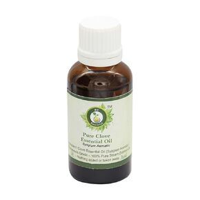 Clove Essential Oil | Syzgium Aomatic | Clove Oil | Clove Bud Oil | for Teeth | for Skin | for Cooking | 100% Pure Natural | Steam Distilled | Therapeutic Grade | 15ml | 0.507oz by R V Essential