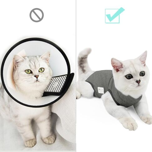 DOTON Cat Recovery Suit for Male and Female Surgical Post Surgery Soft Cone Onesie Shirt Clothes Neuter Licking Protective Diapers Outfit Cover Kitten Spay Collar(S, Purple) in Kuwait