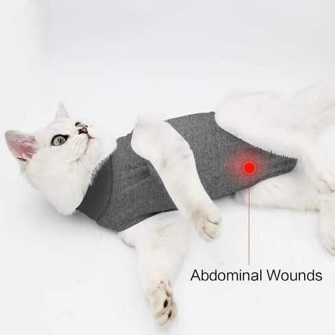 DOTON Cat Recovery Suit for Male and Female Surgical Post Surgery Soft Cone Onesie Shirt Clothes Neuter Licking Protective Diapers Outfit Cover Kitten Spay Collar(S, Purple) in Kuwait