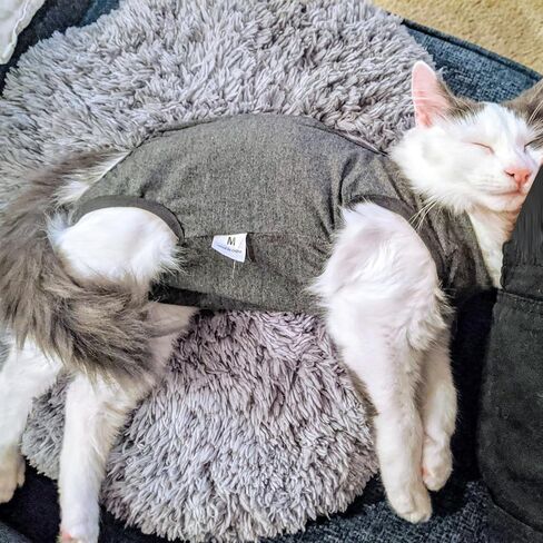DOTON Cat Recovery Suit for Male and Female Surgical Post Surgery Soft Cone Onesie Shirt Clothes Neuter Licking Protective Diapers Outfit Cover Kitten Spay Collar(S, Purple) in Kuwait