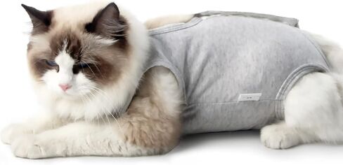 DOTON Cat Recovery Suit for Male and Female Surgical Post Surgery Soft Cone Onesie Shirt Clothes Neuter Licking Protective Diapers Outfit Cover Kitten Spay Collar(S, Purple) in Saudi Arabia