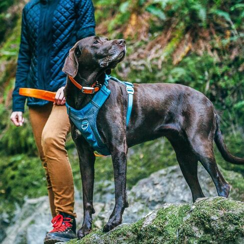 Kurgo Journey Air Dog Harness, Blue, Large in Kuwait