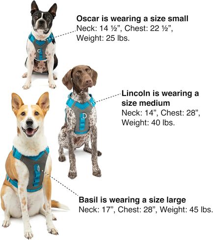 Kurgo Journey Air Dog Harness, Blue, Large in Kuwait