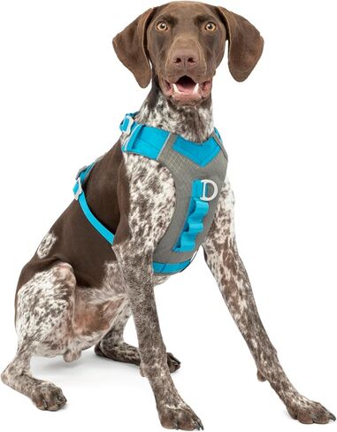 Kurgo Journey Air Dog Harness, Blue, Large in Kuwait