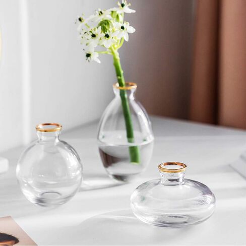 Gold Rim Glass Bud Vase, 3Pcs/Set Modern Decorative Small Mini Flowers Vases Short Minimalist Aesthetic Home Decor Vintage Cute Handmade Tiny Wedding Table Centerpieces for Single Flower Rose in Saudi Arabia