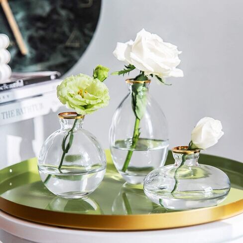 Gold Rim Glass Bud Vase, 3Pcs/Set Modern Decorative Small Mini Flowers Vases Short Minimalist Aesthetic Home Decor Vintage Cute Handmade Tiny Wedding Table Centerpieces for Single Flower Rose in Saudi Arabia