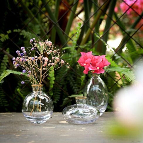 Gold Rim Glass Bud Vase, 3Pcs/Set Modern Decorative Small Mini Flowers Vases Short Minimalist Aesthetic Home Decor Vintage Cute Handmade Tiny Wedding Table Centerpieces for Single Flower Rose in Saudi Arabia