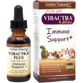Amber NaturalZ Vibactra Plus Herbal Supplement for Dogs, Cats, Birds, Guinea Pigs, and Rabbits | Herbs for Immune Health and Yeast Balance | 4 Fluid Ounce Glass Bottle | Manufactured in The USA